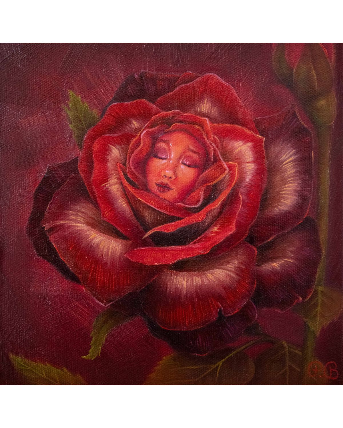 "A Wonderland Collection - Complete Set" Fine Art Prints