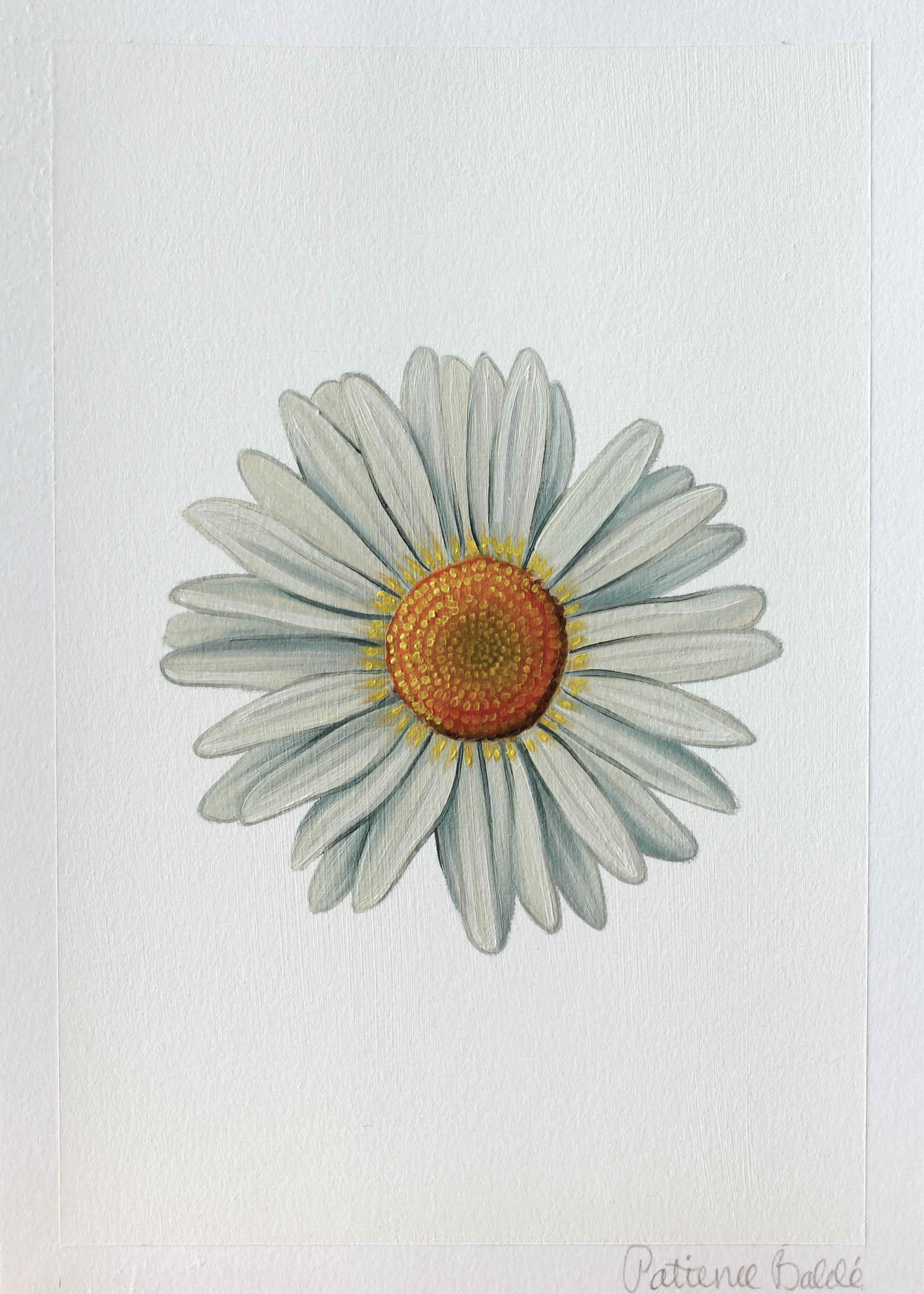 "Daisy" Original