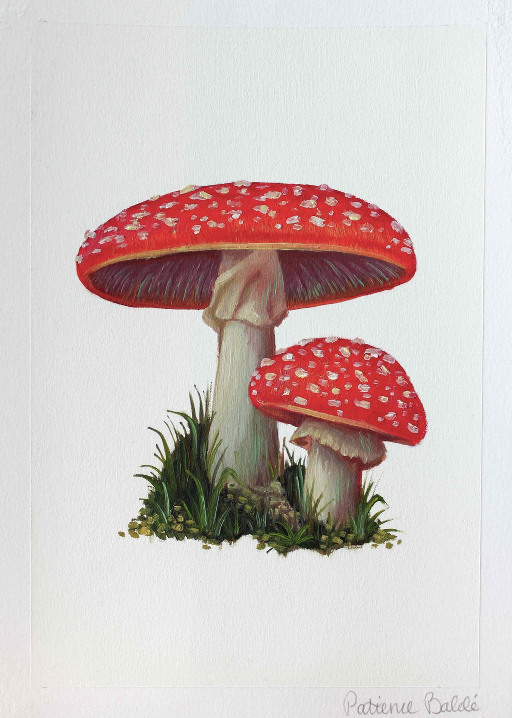 "Toadstools" Original