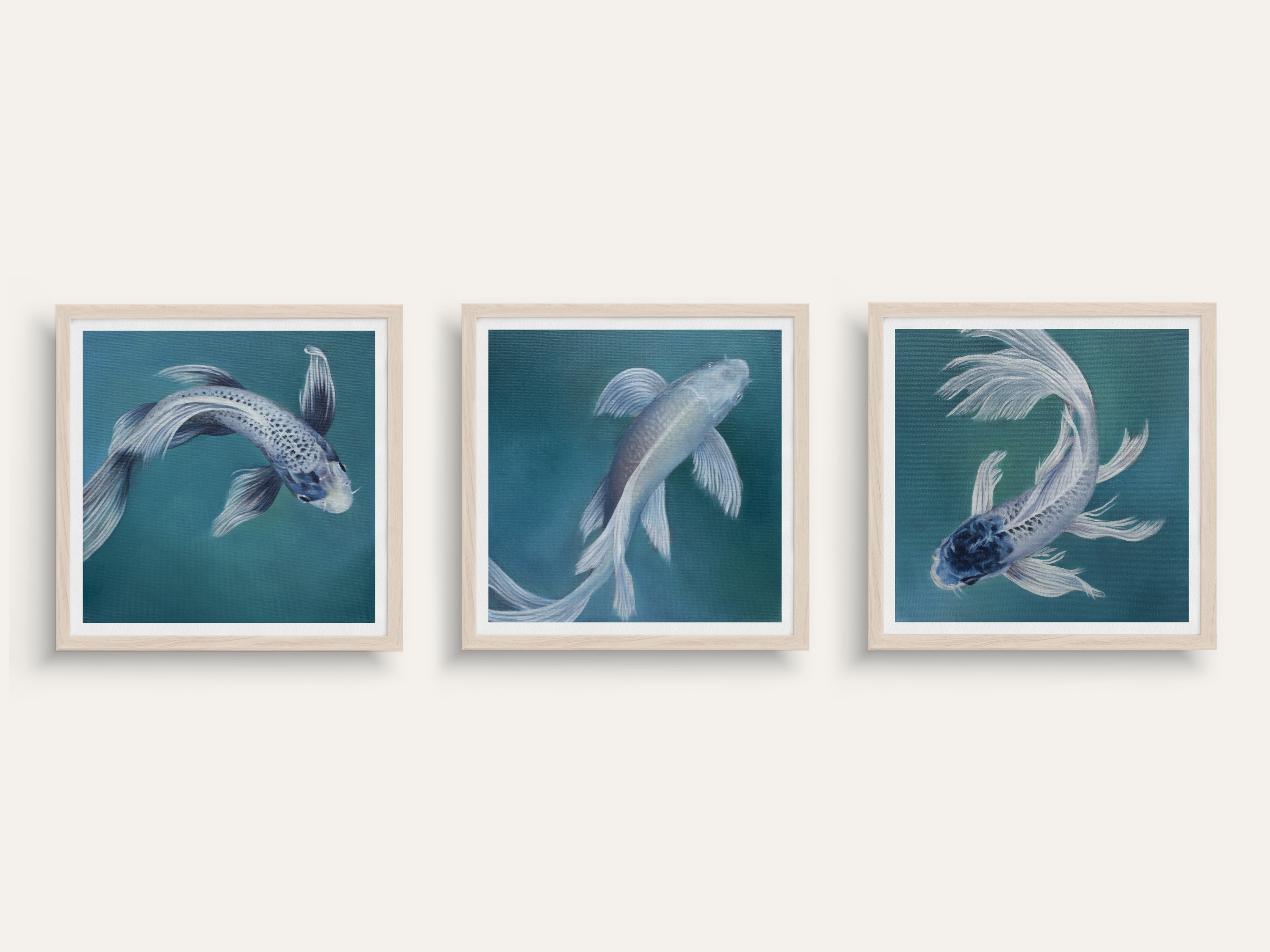 "Koi Fish" Fine Art Print Bundle