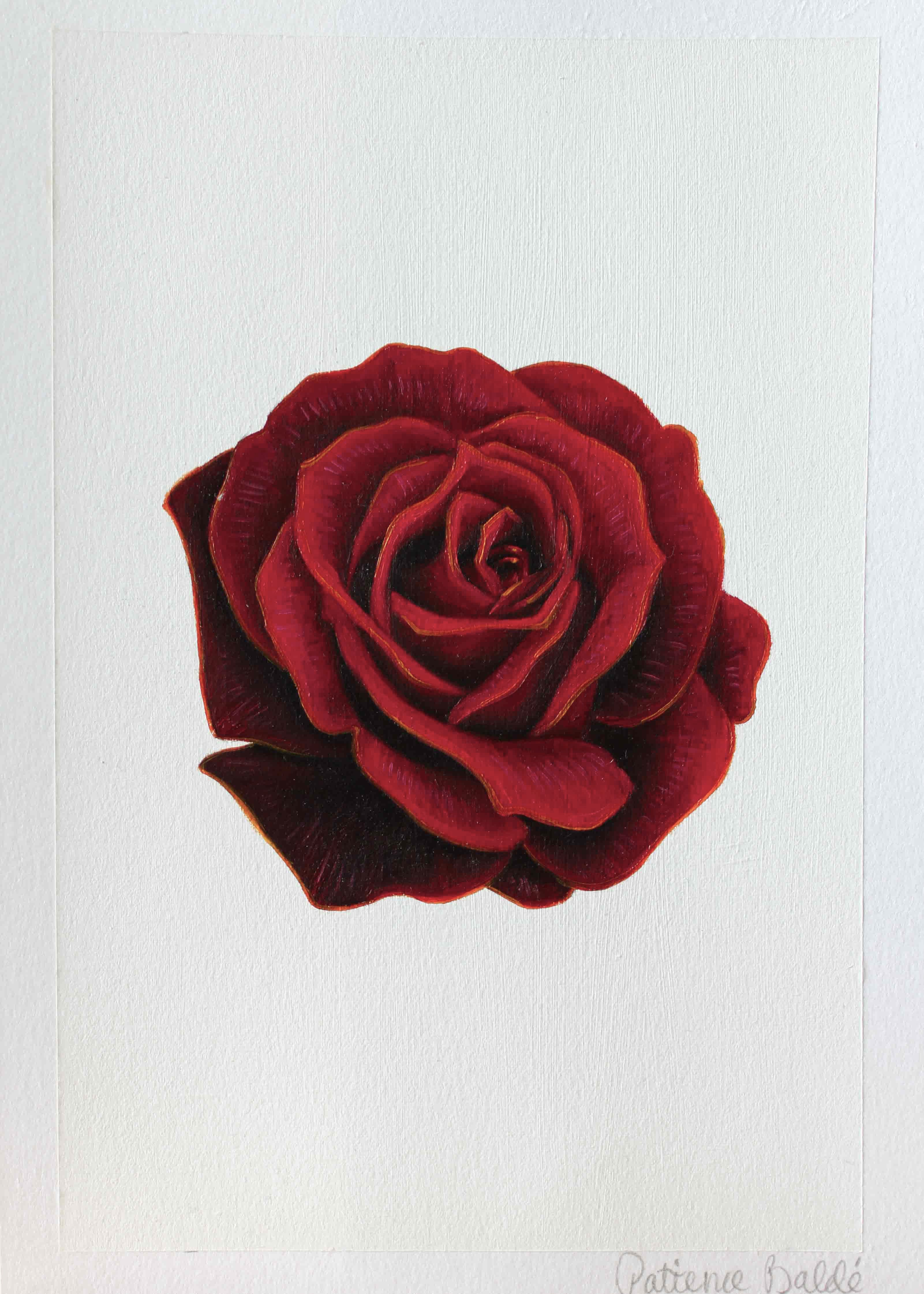 "Rose" Original