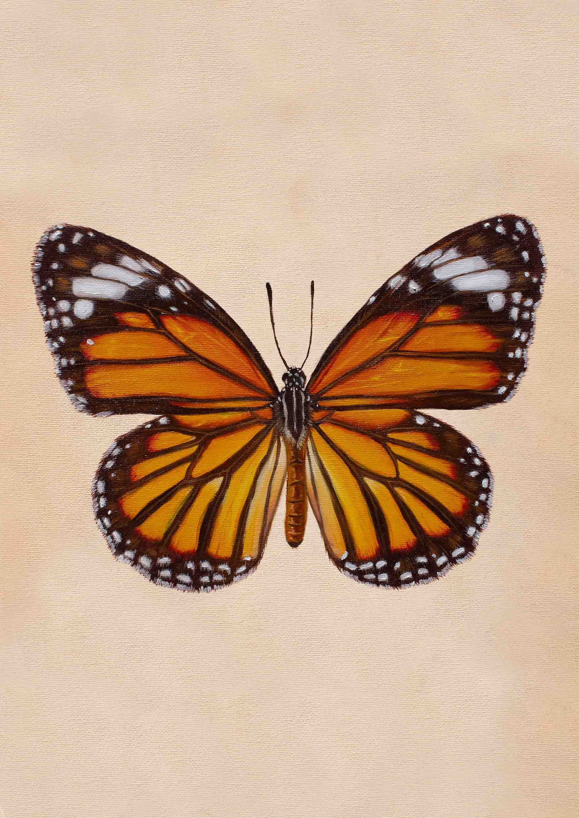 "Monarch" - Fine Art Print