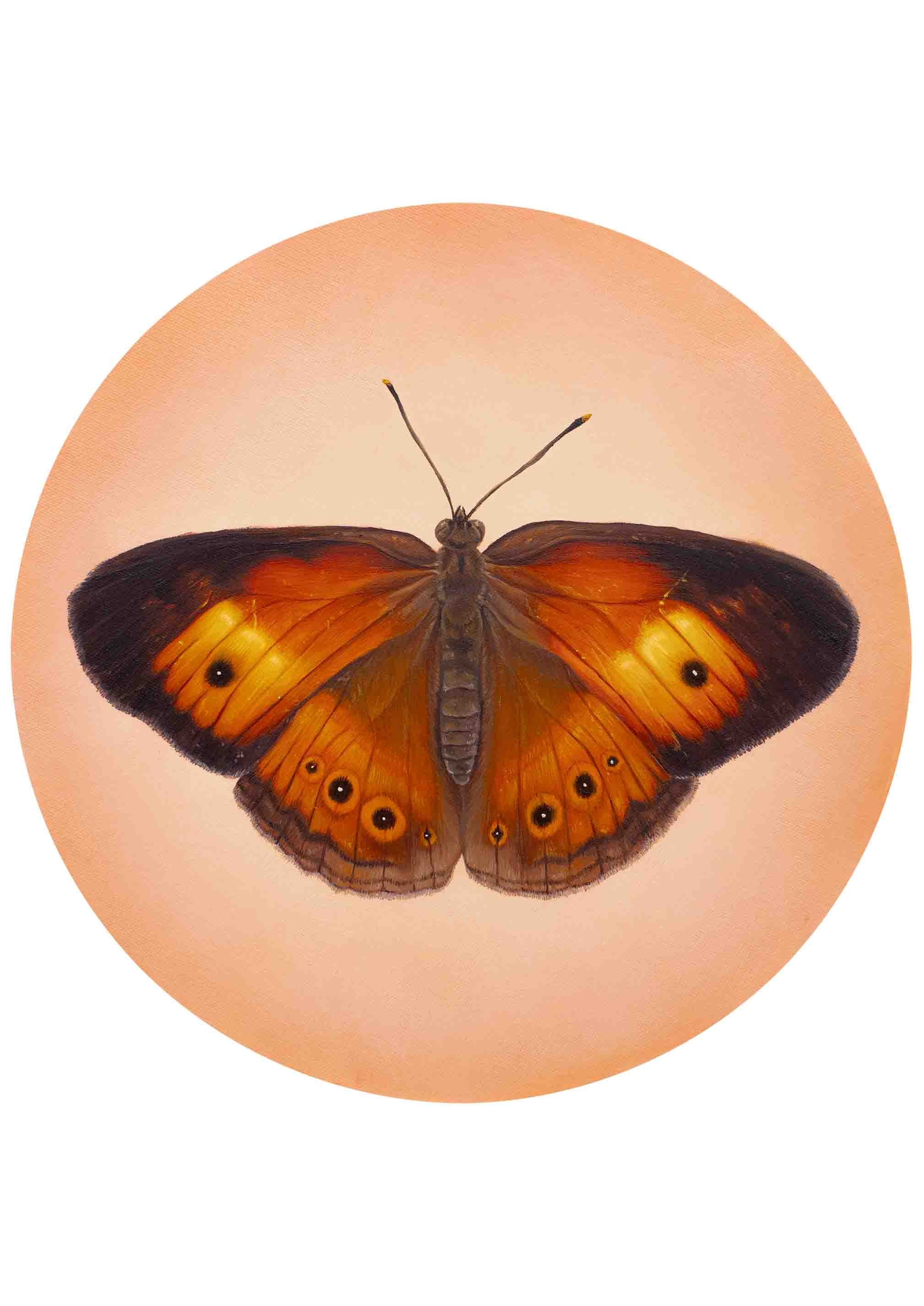 "Orange Bush-brown" - Fine Art Print